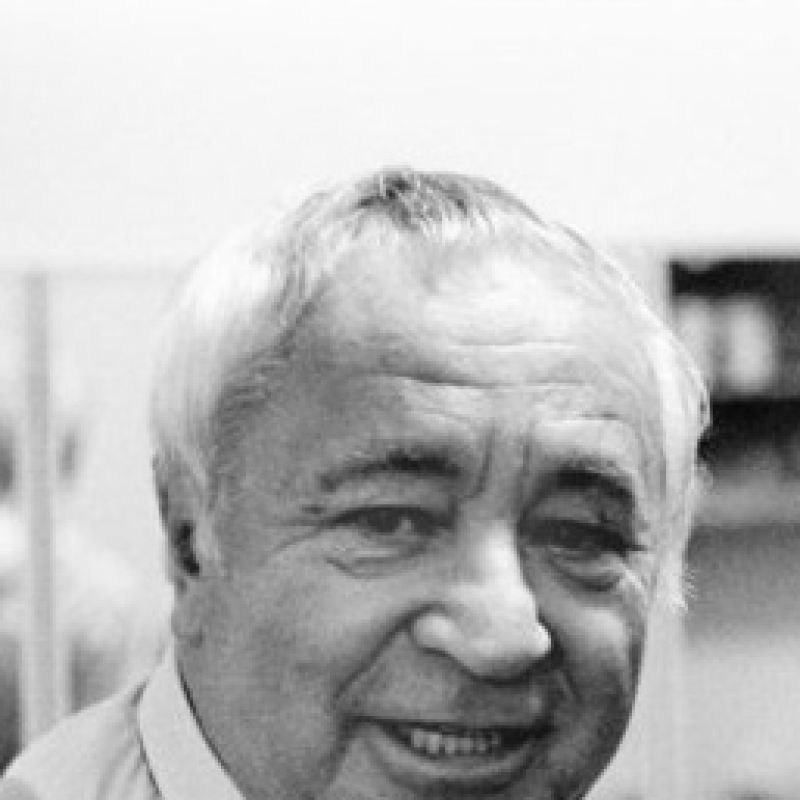 MIROSLAV HORNÍČEK