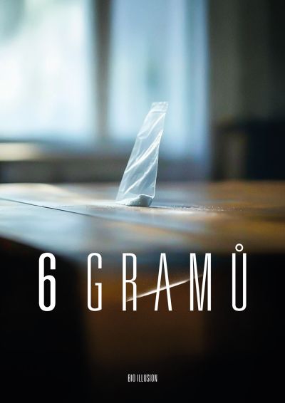 6 gramů