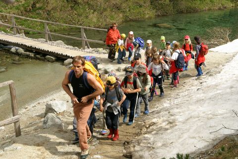 Jak se krotí krokodýli (9)